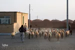 آب به بشیرآباد رسید
