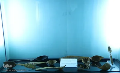 شب جلال الدین همایی‎‎