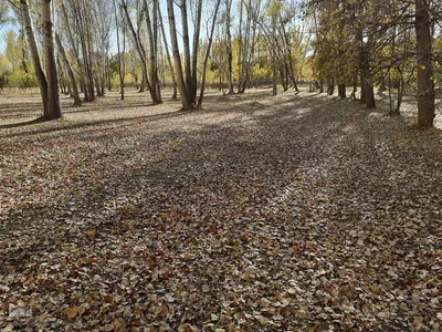 رنگ آمیزی طبیعت در مناطق روستایی شهرستان اهری