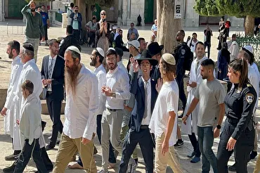 Profanación del Corán en Palestina: fuerte condena de Al-Azhar