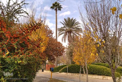 آخرین روز از پاییز 1400 در بوستان آزادی شیراز ‎‎‎‎