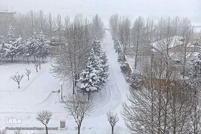 بارش سنگین برف در همدان‎‎
