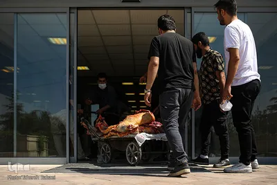 سفره رنگین نیازمندان در عید قربان به دست فالورهای هم نمک