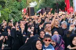 تجمع شیرازی‌های غیور علیه ضاربین بانوی آمر
