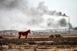 کمترین تحریری از یک زندگانی