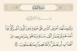 من هم 
