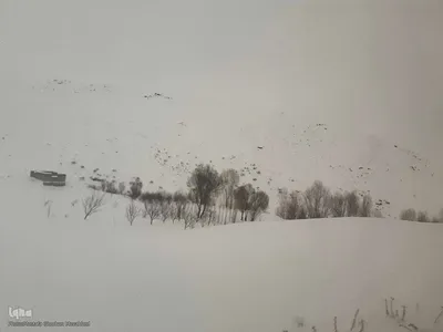 طبیعت برفی مناطق شهری و روستایی اهر