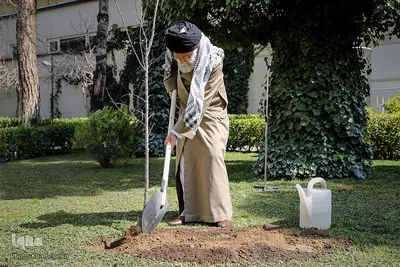 کاشت نهال در هفته منابع طبیعی توسط رهبر انقلاب