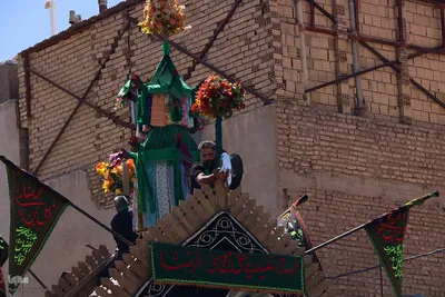 مراسم نخل‌برداری به مناسبت شهادت امام رضا(ع) در یزد‎