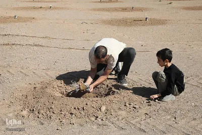 غرس نهال در روز طبیعت