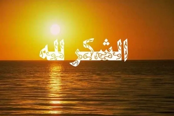 مَنْ لَمْ يُحِطِ النِّعَمَ بِالشُّكْرِ لَها فَقَدْ عَرَضَها لِزَوالِها