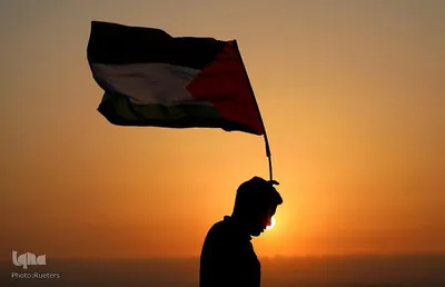 یک‌سال، نه به نکبت