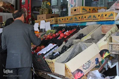 تکاپوی یلدایی شهر