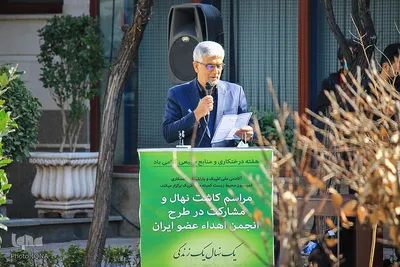 یک نهال، یک زندگی