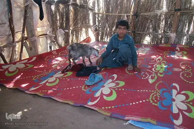 اینجا زهکلوت؛ شهرک کپرنشین حاج قاسم سلیمانی