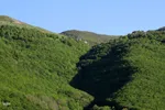 طبیعت تیر ماهی جنگل‌های ارسباران