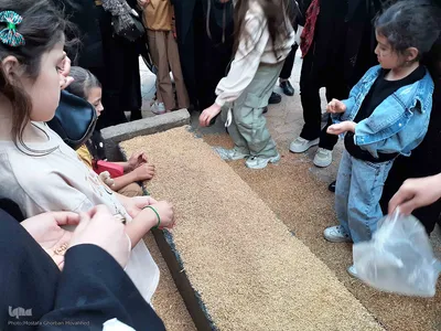 مراسم سنتی نیت کردن و توسل بر امام حسین(ع) با گندم شماری و نذر گندم در اهر