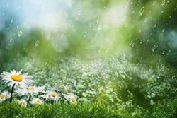 Ayaat of God in The Environment