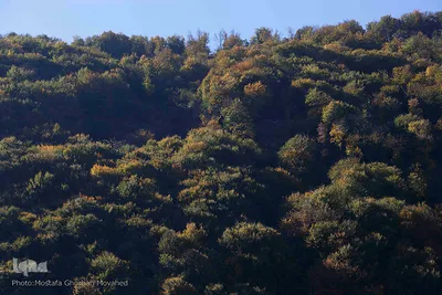 طبیعت زیبای گردنه «حیران» در آستارا