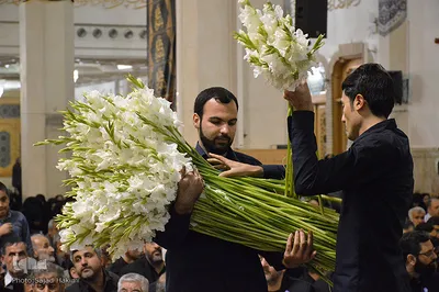 مراسم شمع‌گردانی در شام وفات حضرت معصومه(س)
