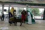 آیین شبیه‌خوانی امام رضا(ع) در تکیه میر مقیم روستای درزیکلا نصیرایی شهرستان بابل