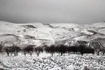 بارش برف پاییزی در ارتفاعات و مناطق روستایی اهر