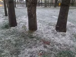 بارش برف زمستانی در اهر