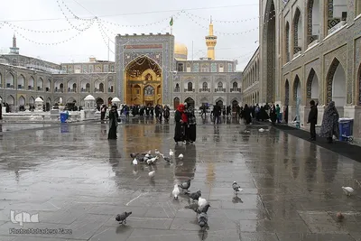 بارش برف در حرم امام رضا (ع)
