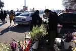 لیلةالرغائب در وادی رحمت تبریز
