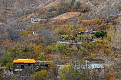برگریزان پاییزی در همدان