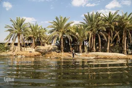 تالاب شادگان