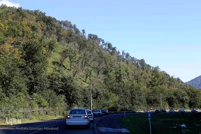 طبیعت زیبای گردنه حیران آستارا