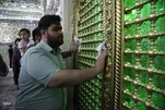 Em Fotos: Cerimônia Realizada para Limpar Santuário Sagrado de Qom