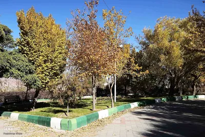 طبیعت پاییزی تبریز