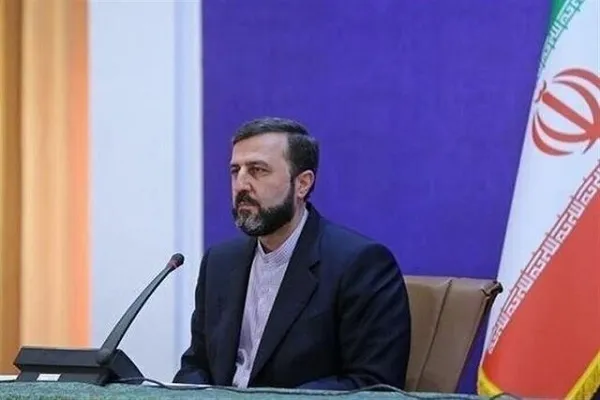 آژانس به ابزار اعمال فشار برخی کشورها علیه ایران تبدیل شده است