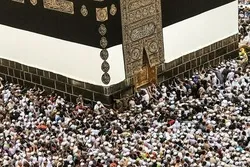 Pakistan Fatwa Centers Urges Using Umrah Money for COVID-19 Battle