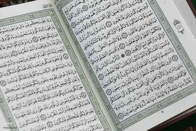 محفل انس با قرآن کریم در حرم سید علاءالدین حسین(ع)