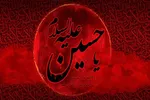 فیلم | اشعار شاعران کردستانی در رثای قیام امام حسین(ع)