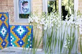 گلباران حجره طلبگی امام خمینی(ره) در اراک