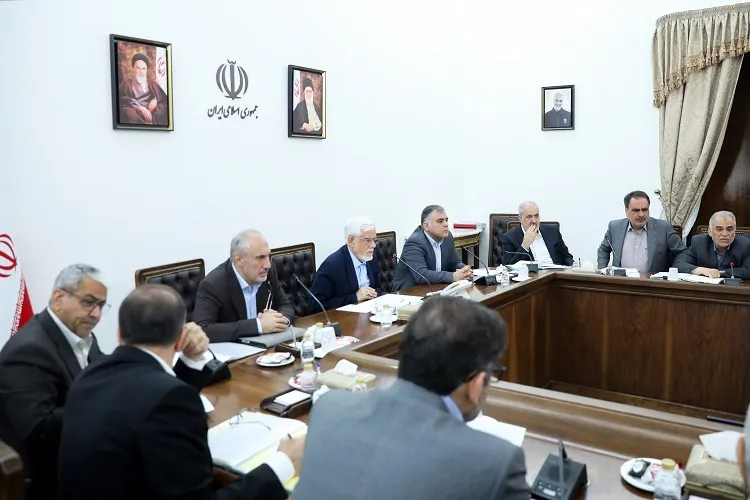 دولت چهاردهم هیچ طرحی را بدون بررسی‌های دقیق اقتصادی تصویب نمی‌کند