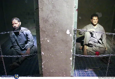 آزادی رایگان نیست