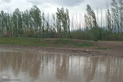 طبیعت بهاری رودخانه اهرچای در شهرستان اهر