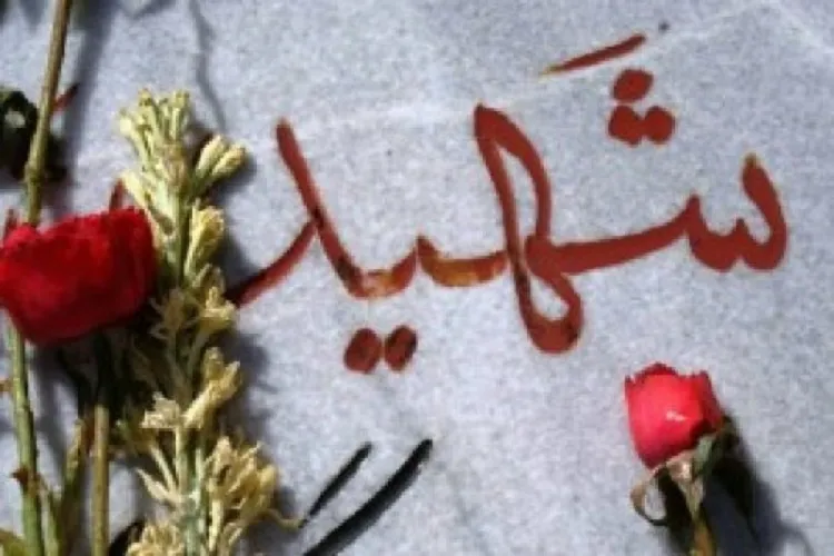 تجلیل از خانواده شهدای عرصه نظم و امنیت در جیرفت