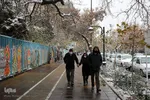 بارش اولین برف پاییزی در مشهد
