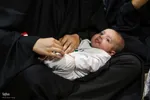 مراسم شیرخارگان حسینی در حسینیه اعظم زنجان