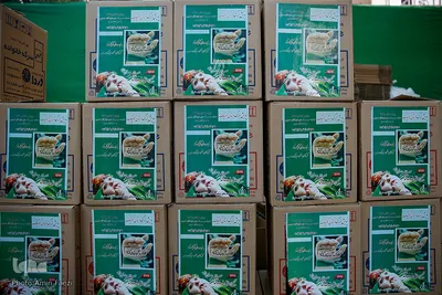 نشست خبری دبیر مجمع جهانی حضرت علی‌اصغر (ع) استان فارس‎