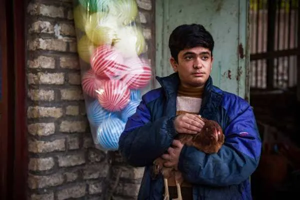«کپسول» آماده نمایش شد