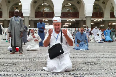 زیارت دوره زائران در مدینه منوره