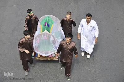 ورود نمادین کاروان حسینی به سرزمین کربلا