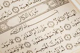 «تکاثر» به چه معناست